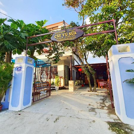 Milk Fruit Homestay - An Bang Beach هوي ان المظهر الخارجي الصورة