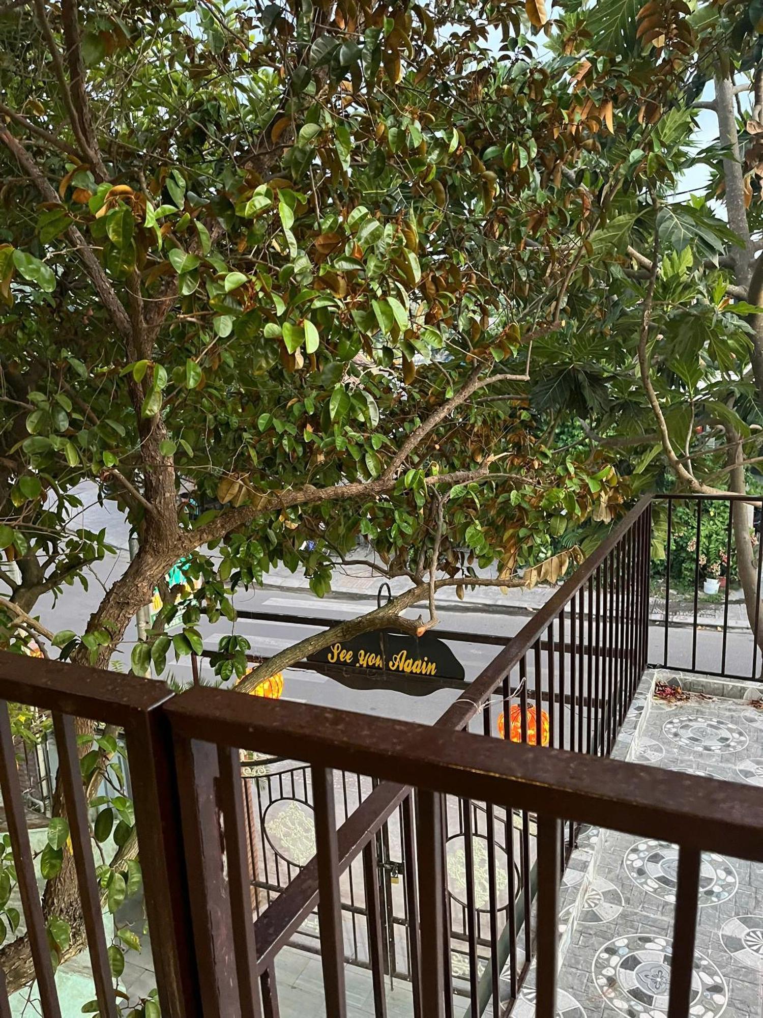 Milk Fruit Homestay - An Bang Beach هوي ان المظهر الخارجي الصورة